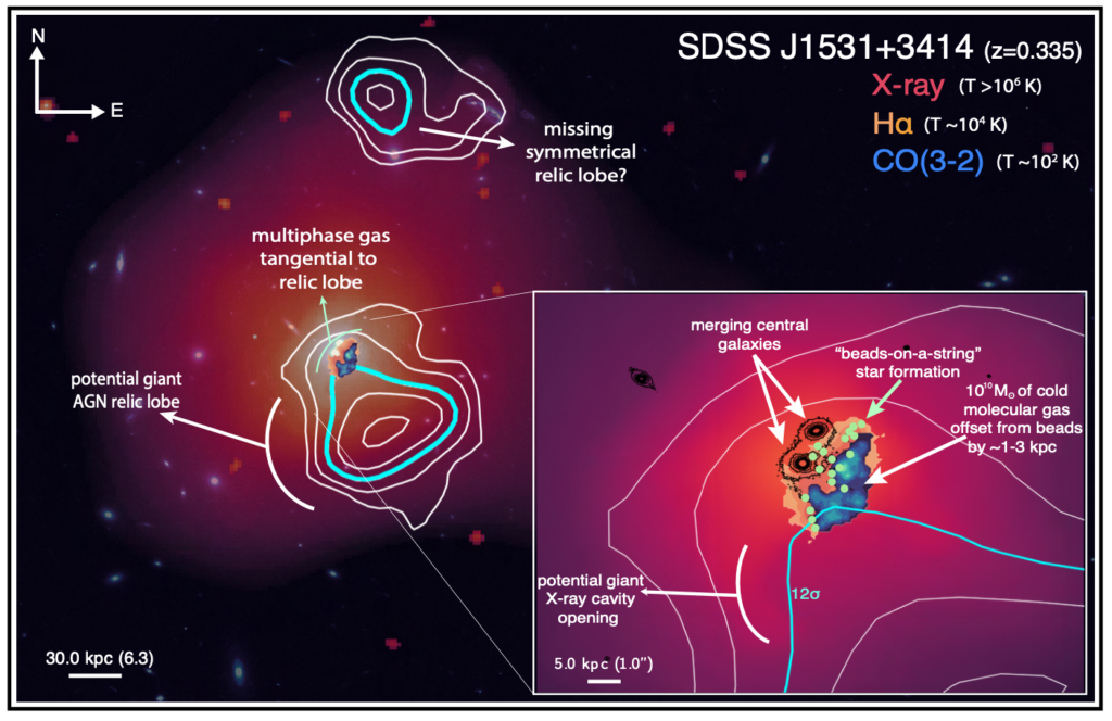 An image of the galaxy cluster, with added lines and labels to highlight the cavities which are below and above the two bright galaxies, and stars and molecular gas near the galaxies.